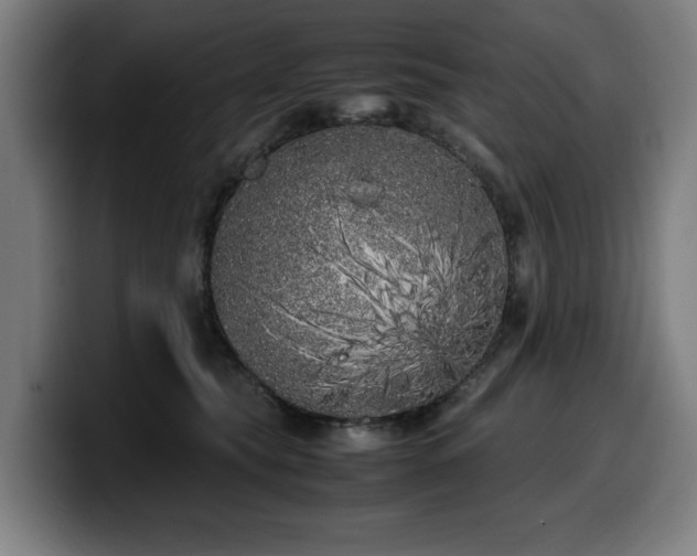 X0000099930565200805301200