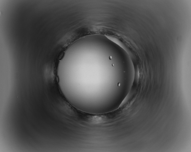 X0000099930566200805301200