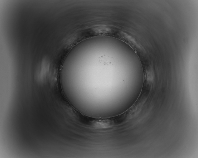 X0000099930567200805301200