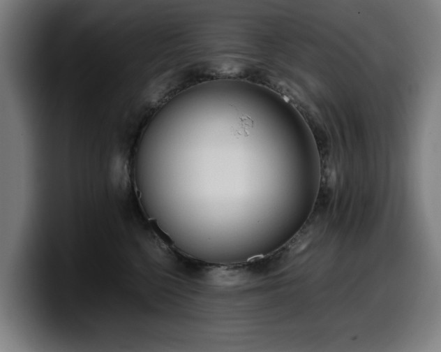 X0000099930568200805301200