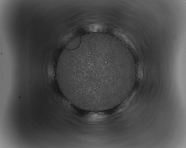 X0000099930569200805301200