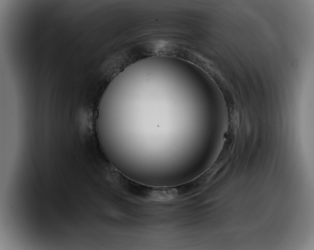 X0000099930571200805301200