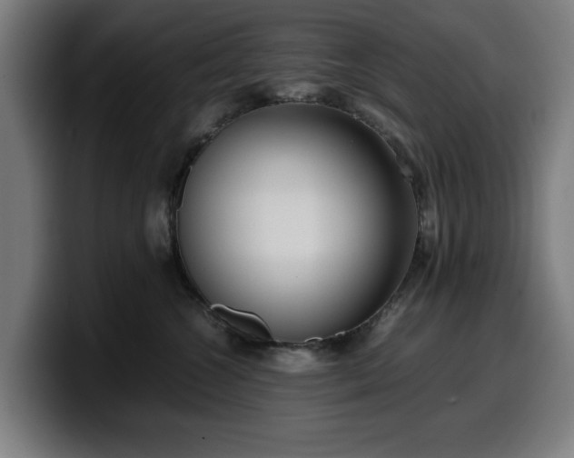 X0000099930572200805301200