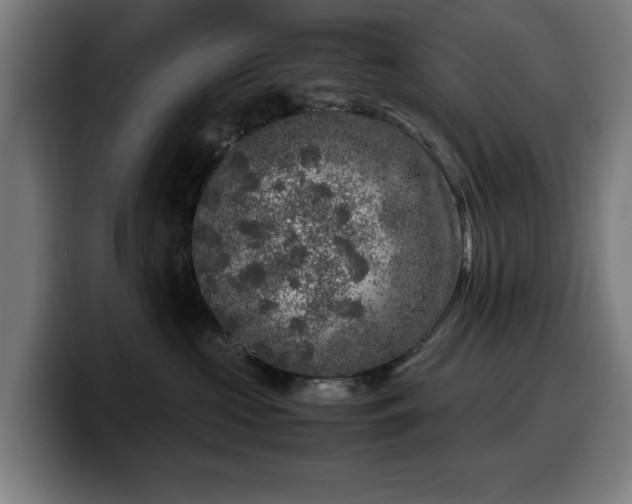 X0000099930573200805301200