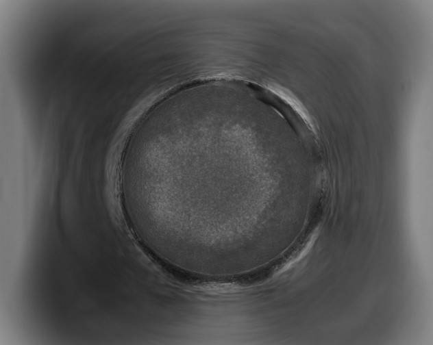 X0000099930577200805301200