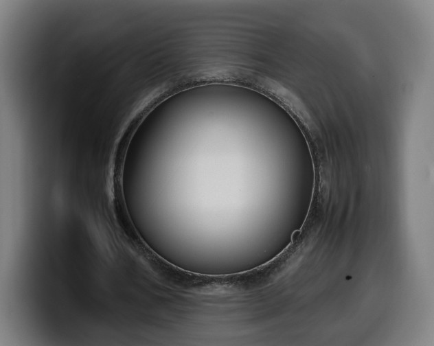 X0000099930578200805301200