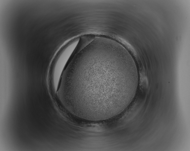 X0000099930580200805301159