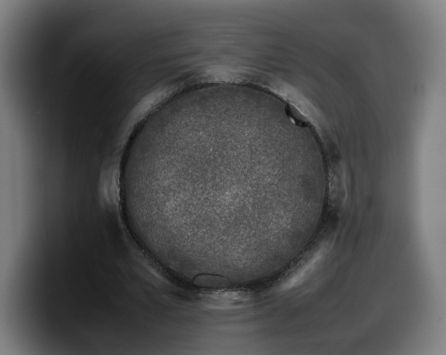 X0000099930581200805301159