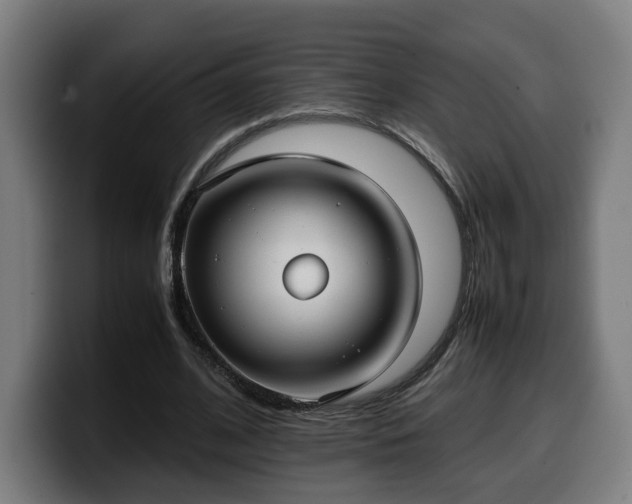 X0000099930584200805301159