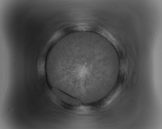 X0000099930585200805301159