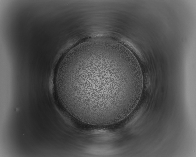 X0000099930586200805301159