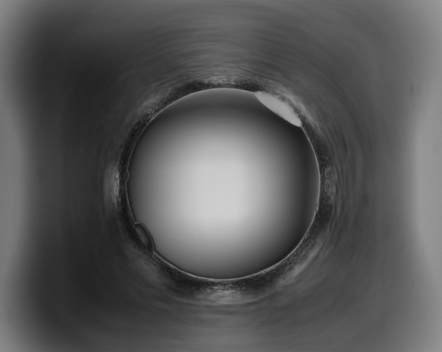 X0000099930589200805301159