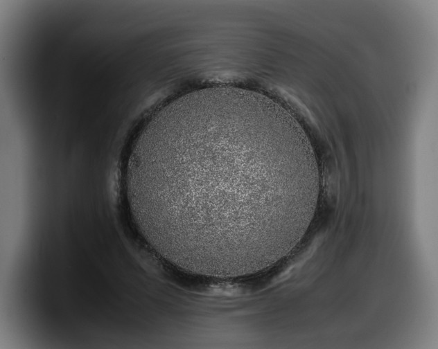 X0000099930591200805301159