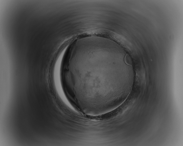 X0000099930592200805301159