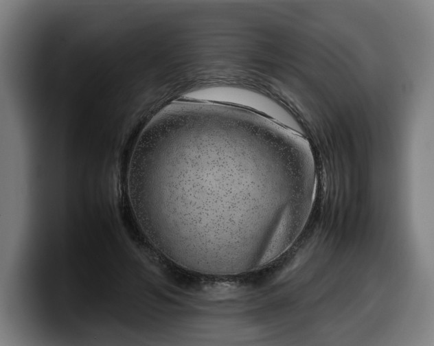 X0000099930594200805301159