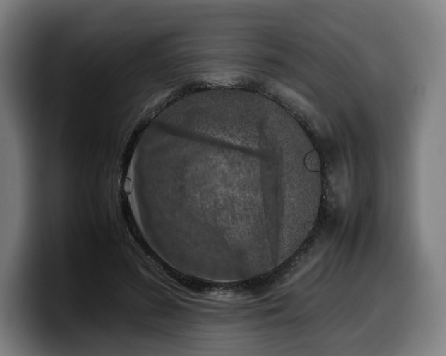 X0000099930596200805301159