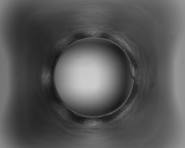 X0000099930597200805301159