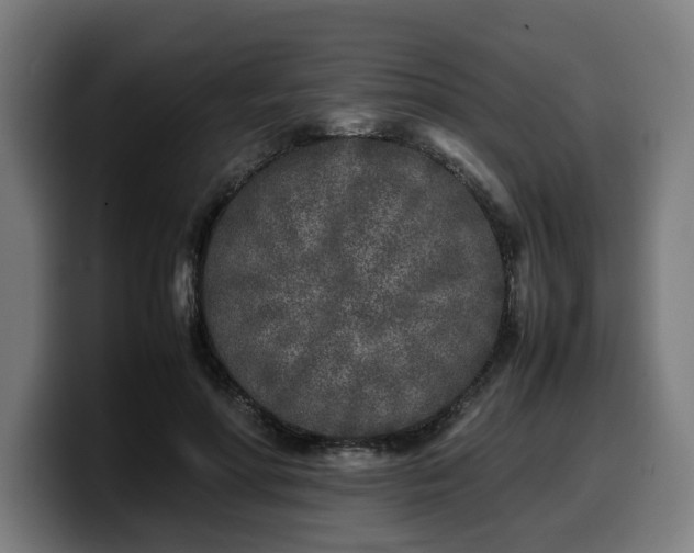 X0000099930598200805301159