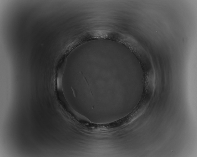 X0000099930600200805301159