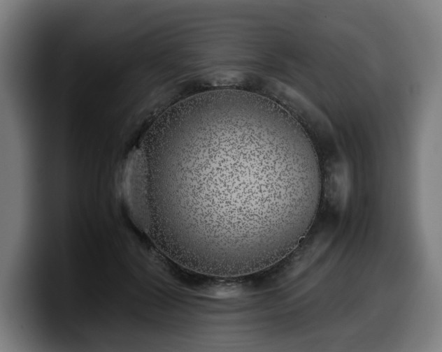 X0000099930604200805301159