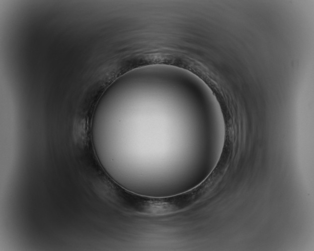 X0000099930605200805301159