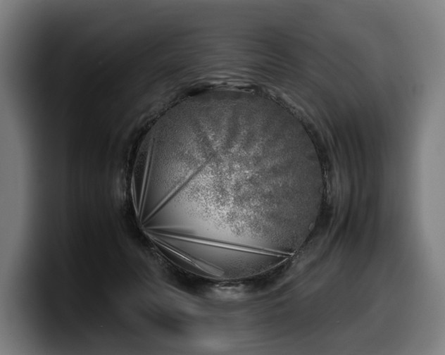 X0000099930606200805301159