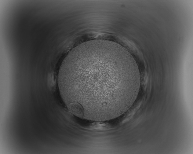 X0000099930607200805301159