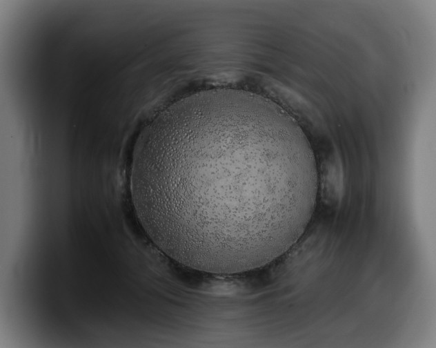 X0000099930608200805301159