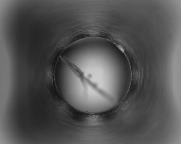 X0000099930609200805301159