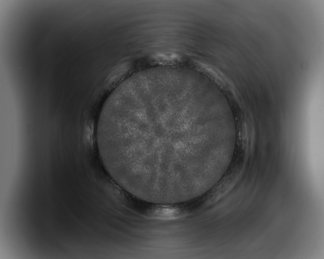 X0000099930610200805301159