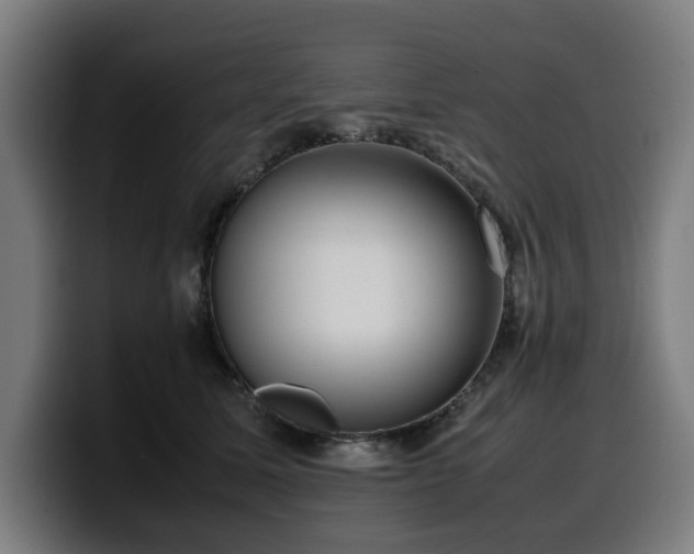 X0000099930611200805301159