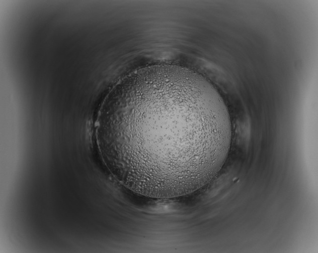 X0000099930612200805301159