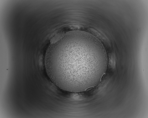 X0000099930616200805301159