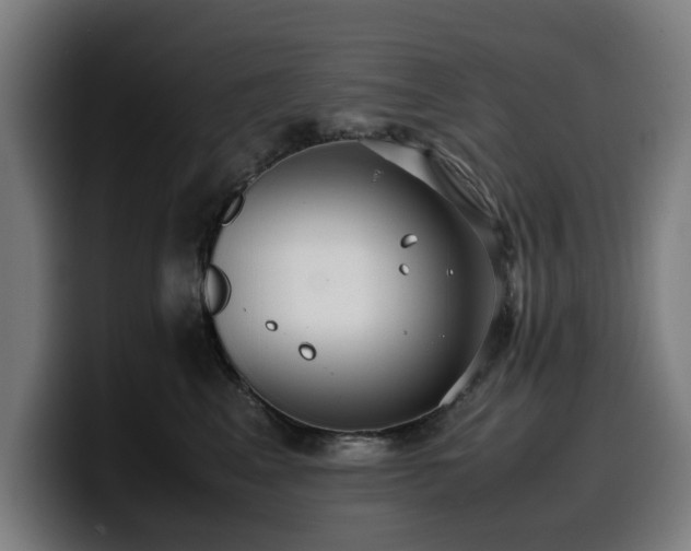 X0000099930617200805301159