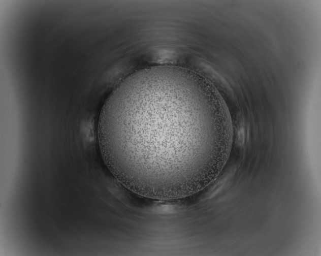 X0000099930620200805301159