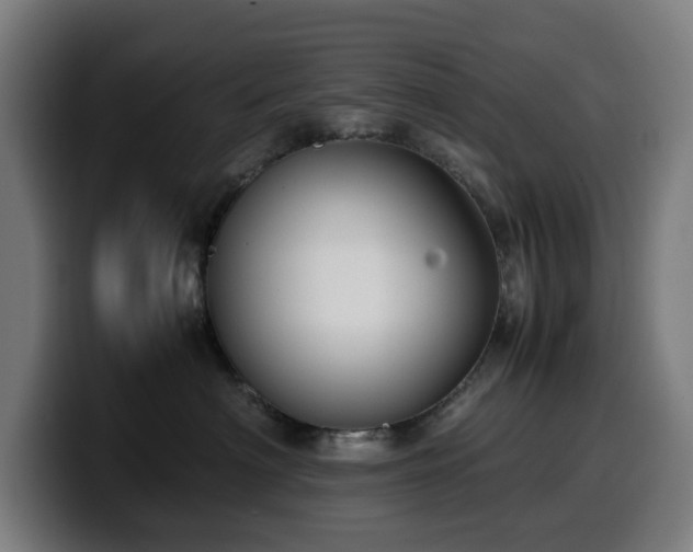 X0000099930622200805301159