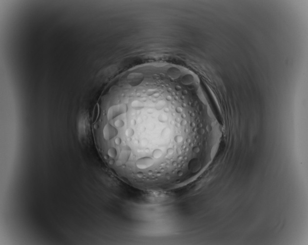 X0000099930623200805301159