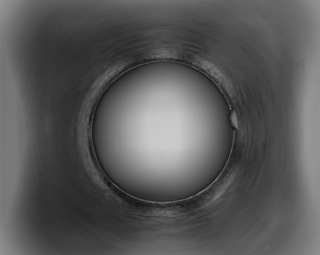 X0000099930625200805301158