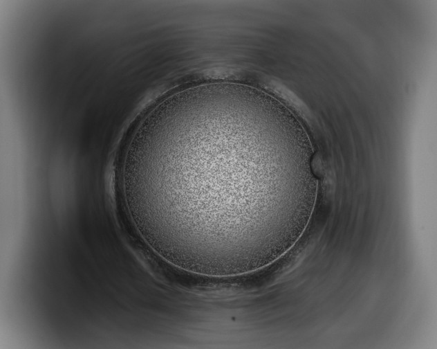 X0000099930626200805301158