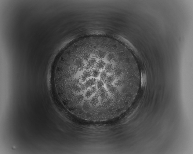 X0000099930627200805301158