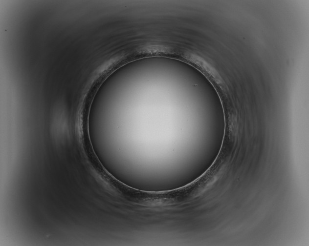 X0000099930629200805301158