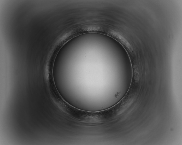 X0000099930631200805301158