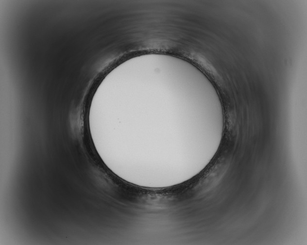 X0000099930632200805301158