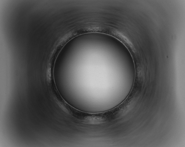 X0000099930633200805301158