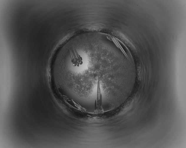 X0000099930634200805301158