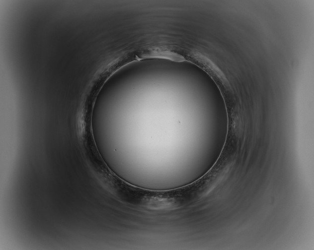 X0000099930635200805301158