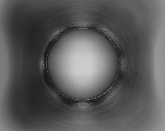 X0000099930636200805301158