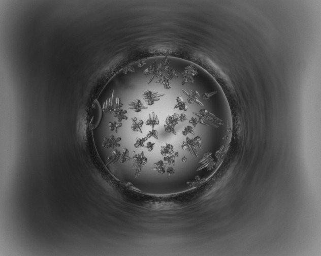 X0000099930637200805301158