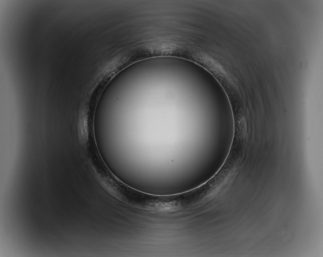 X0000099930638200805301159