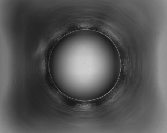 X0000099930639200805301159